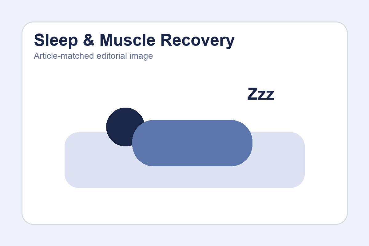 Sleep and Muscle Recovery: How Much Sleep Do You Actually Need to Build Muscle?